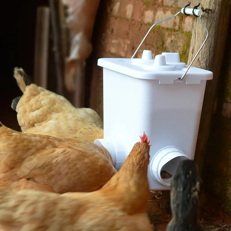 PoultryFeeder™ - Set de 5 Guri de Hranire pentru Pasari
