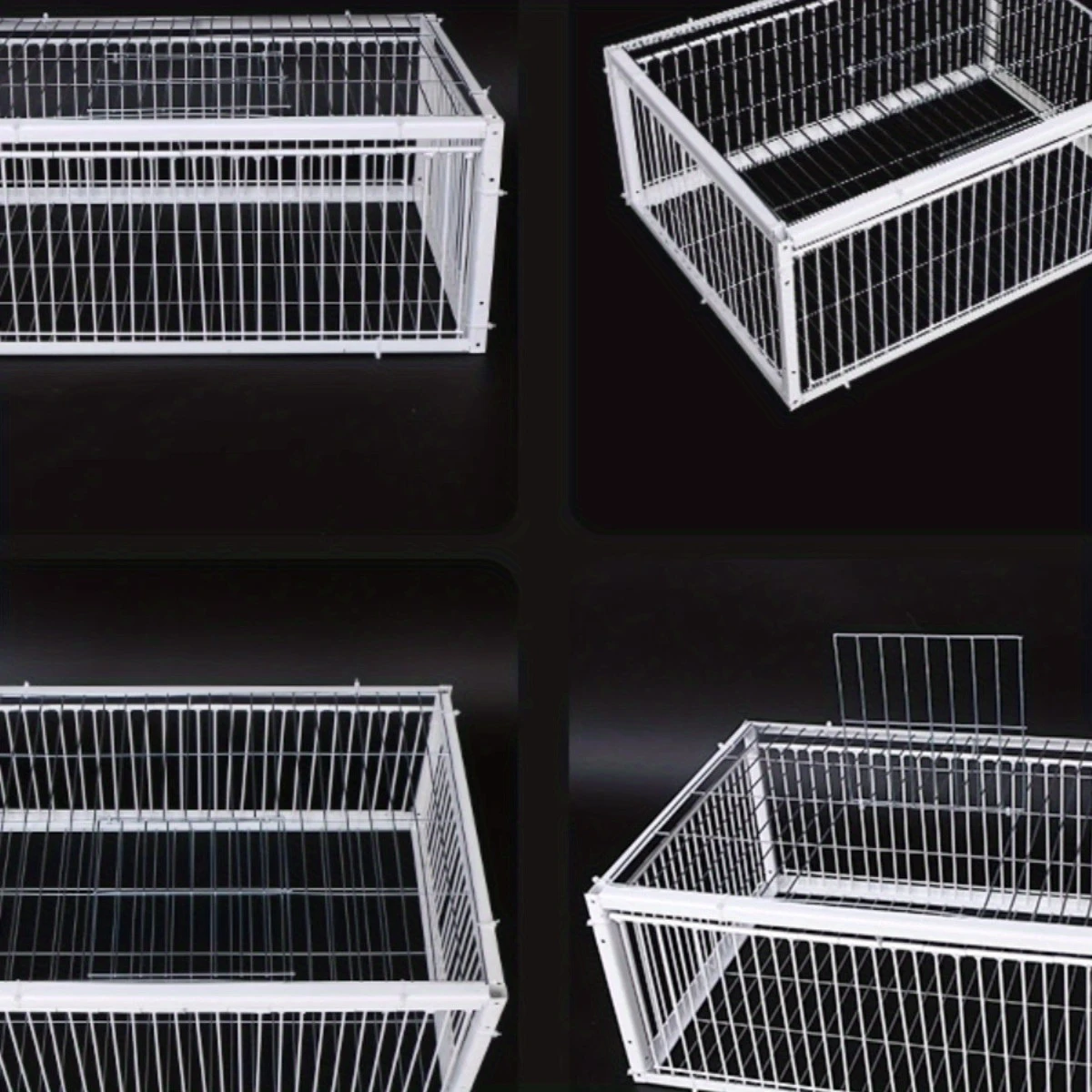 SkyGuard™ – Colivie Profesionala pentru Porumbei cu Sistem Autoinchidere