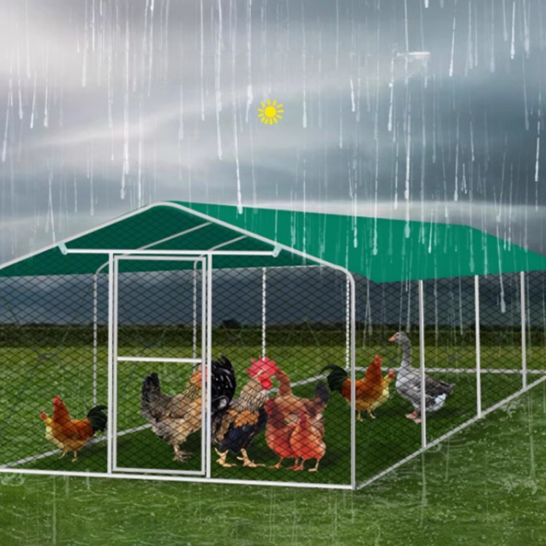 ShelterMax – Adapost Exterior si Voliera Multifunctionala pentru Pasari