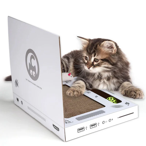 🔥OFERTA 1+1🔥KittyTech™ Jucarie Laptop pentru Pisici
