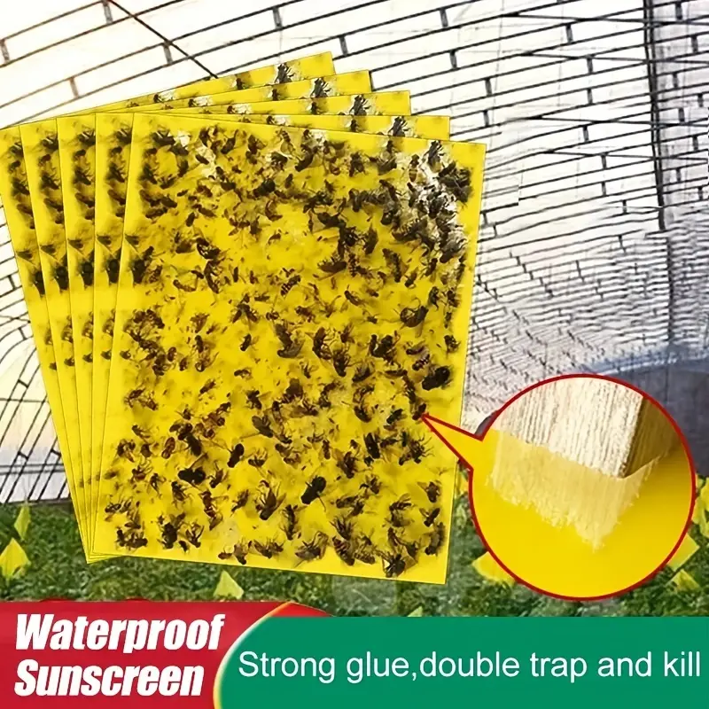 InsectCatcher™ - Set 60 Capcane Lipicioase pentru Insecte Zburatoare