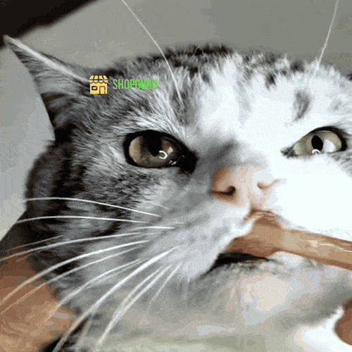 🔥OFERTA 1+1!🔥Periuță de dinti pentru animale de companie