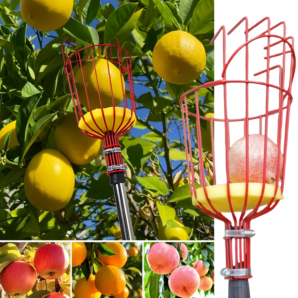 FruitReach™ – Cap Culegator de Fructe pentru Inaltimi Mari