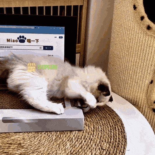 🔥OFERTA 1+1🔥KittyTech™ Jucarie Laptop pentru Pisici