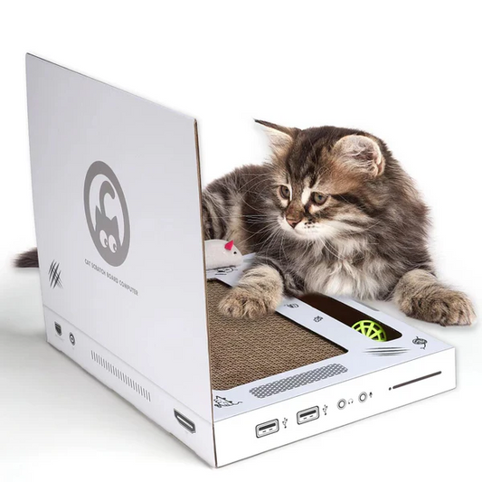 KittyTech™ Jucarie Laptop pentru Pisici