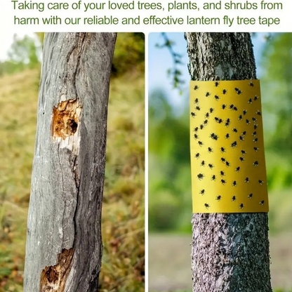 TreeGuard™ – Banda Adeziva Impotriva Insectelor si Tantarilor