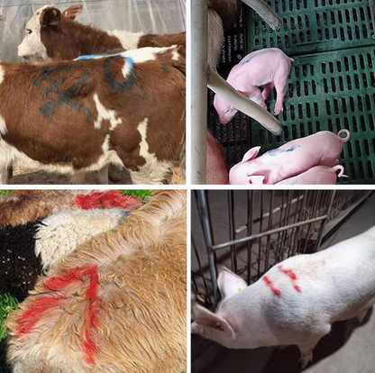 MarkPro™ - Set 4 Creioane de Marcaj pentru Animale