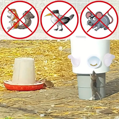 PoultryFeeder™ - Set de 5 Guri de Hranire pentru Pasari
