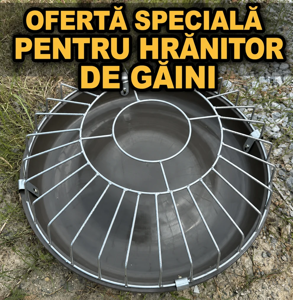 FeedSafe™ – Tava de Hrana pentru Pasari cu Cadru Complet din Otel