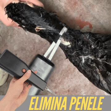 🔥OFERTA 1+1🔥Removeo™ - Dispozitiv Electric de Smulgere Rapida a Penei pentru Pasari