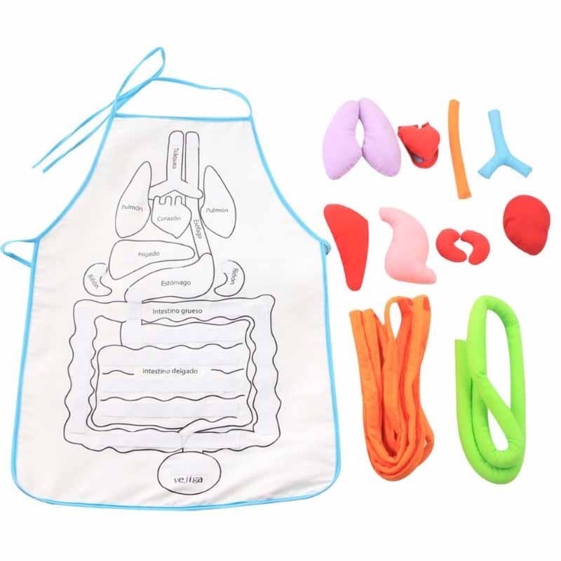 Șorț de anatomie APRON© - ShopGuru